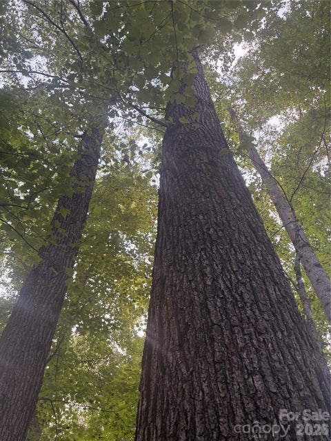 Photo of Lot 1 Edgewood Road, Wilkesboro, NC 28670 (MLS # 4424227)