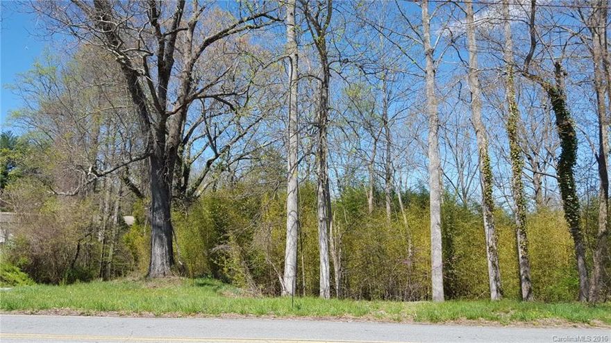 Half acre city lot, zoned R-15. Build a single family or a duplex! Public utilities available. Convenient to shopping and less than 1 mile from Historic downtown Hendersonville. Lot is wooded, level to sloping. 96' road frontage on Willow and 310' on Dairy Street. Modular construction allowed.