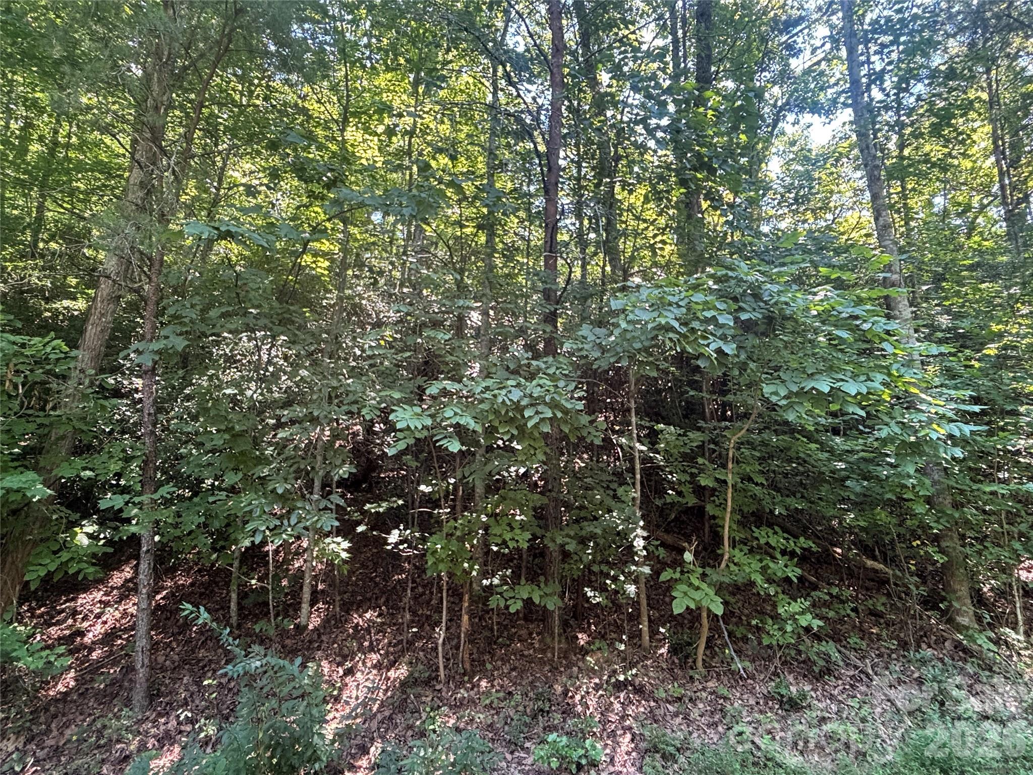Lot 77 Winesap Boulevard