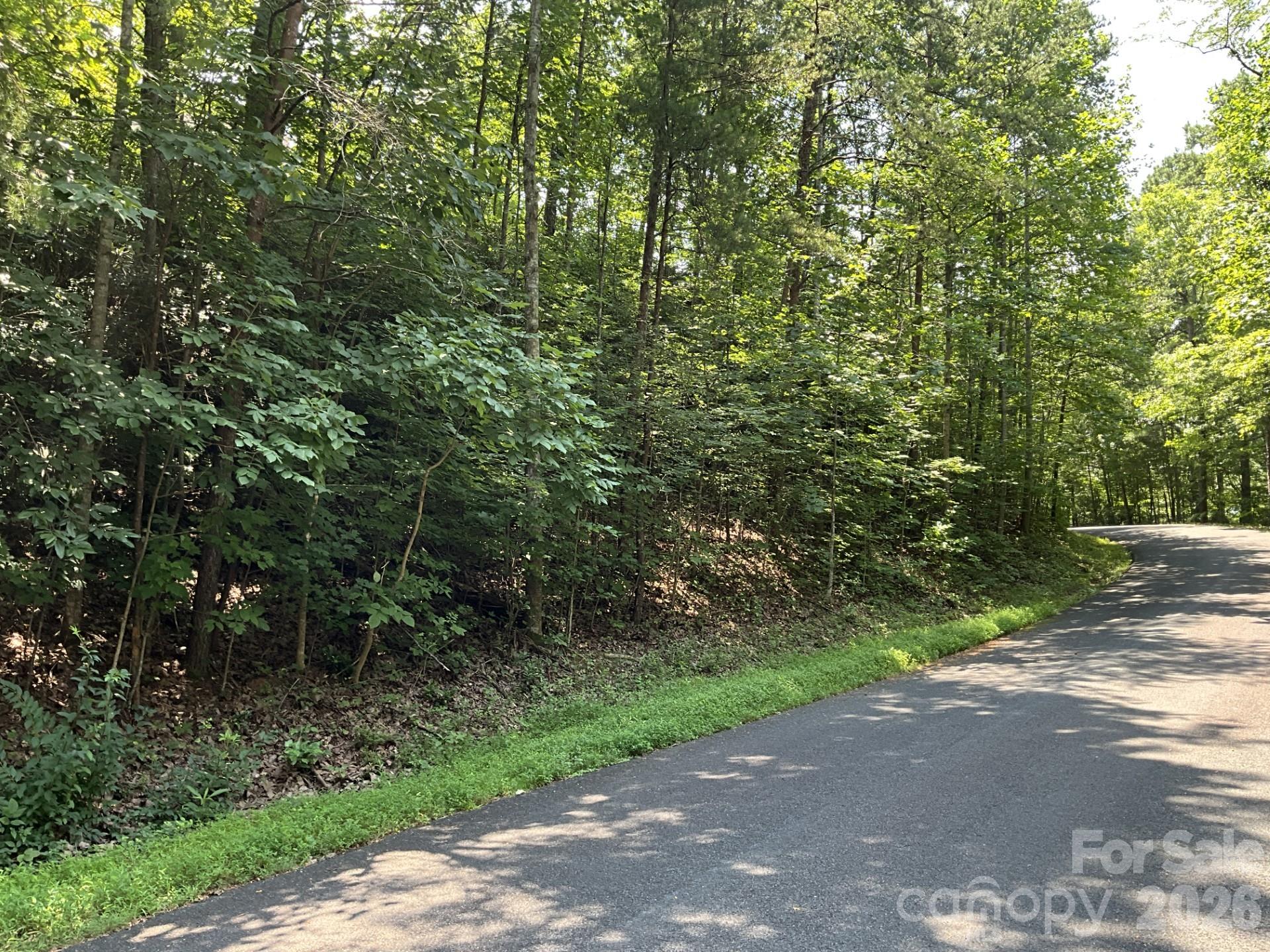 Lot 77 Winesap Boulevard, Lake Lure, NC, 28746