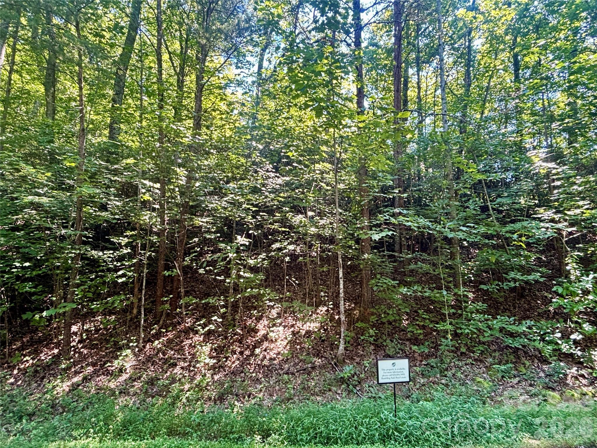 Lot 77 Winesap Boulevard