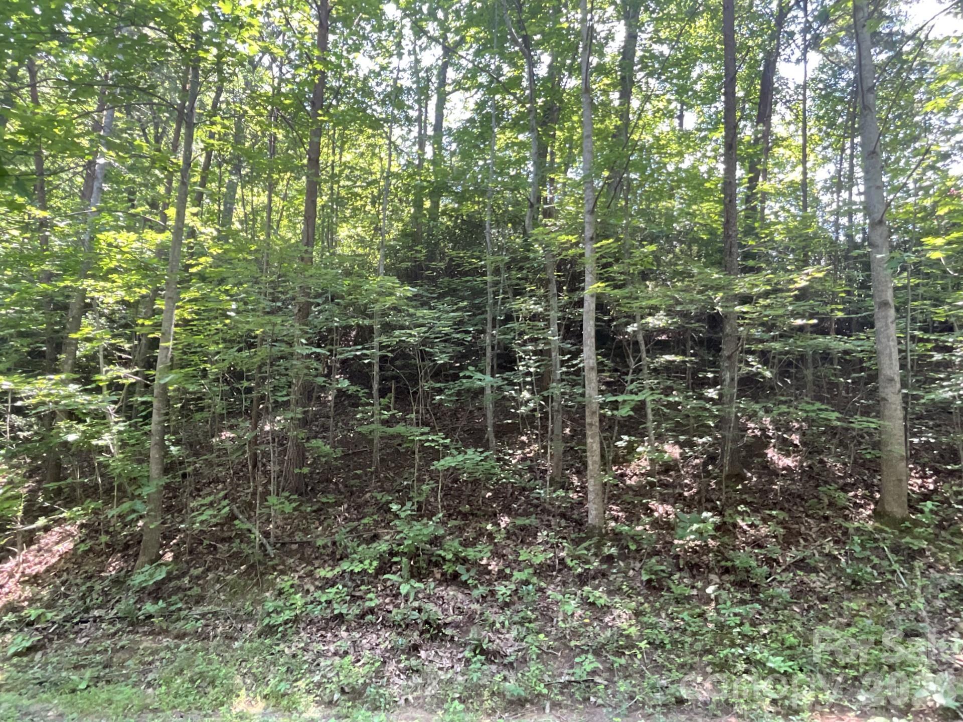 Lot 77 Winesap Boulevard