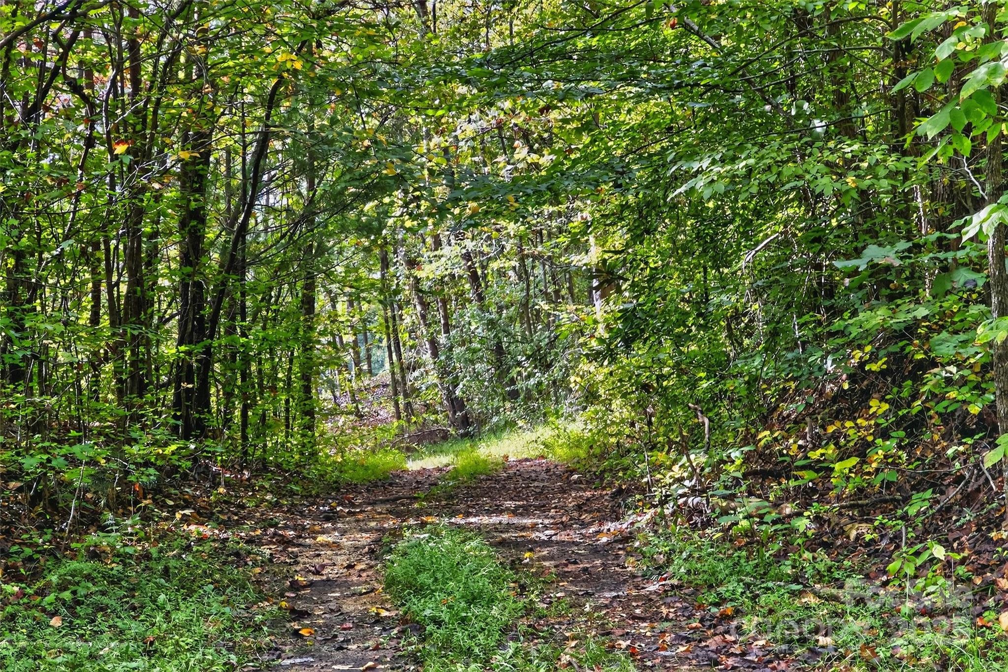 Linville Falls Mountain Club and Preserve - Land