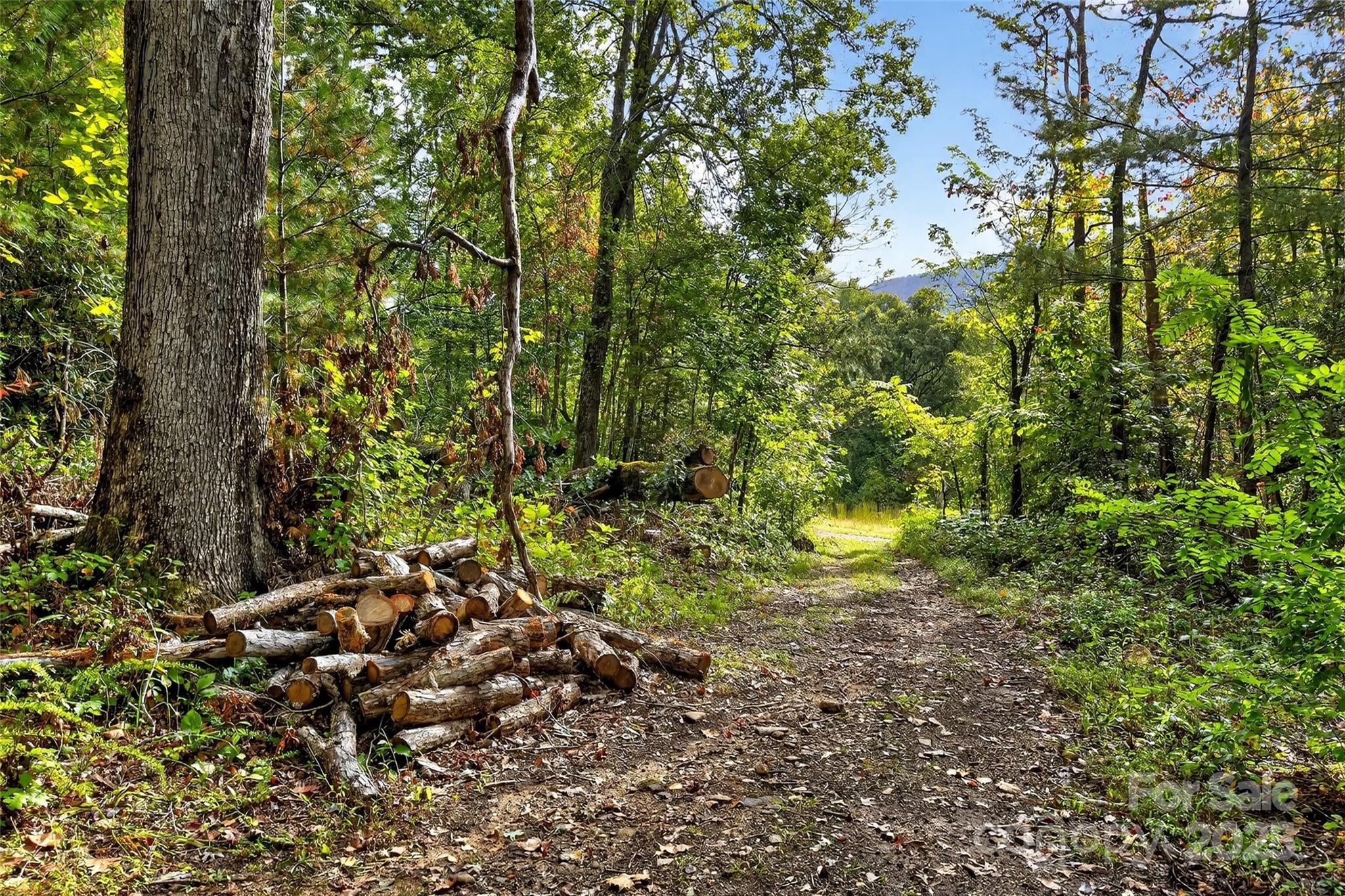 Linville Falls Mountain Club and Preserve - Land