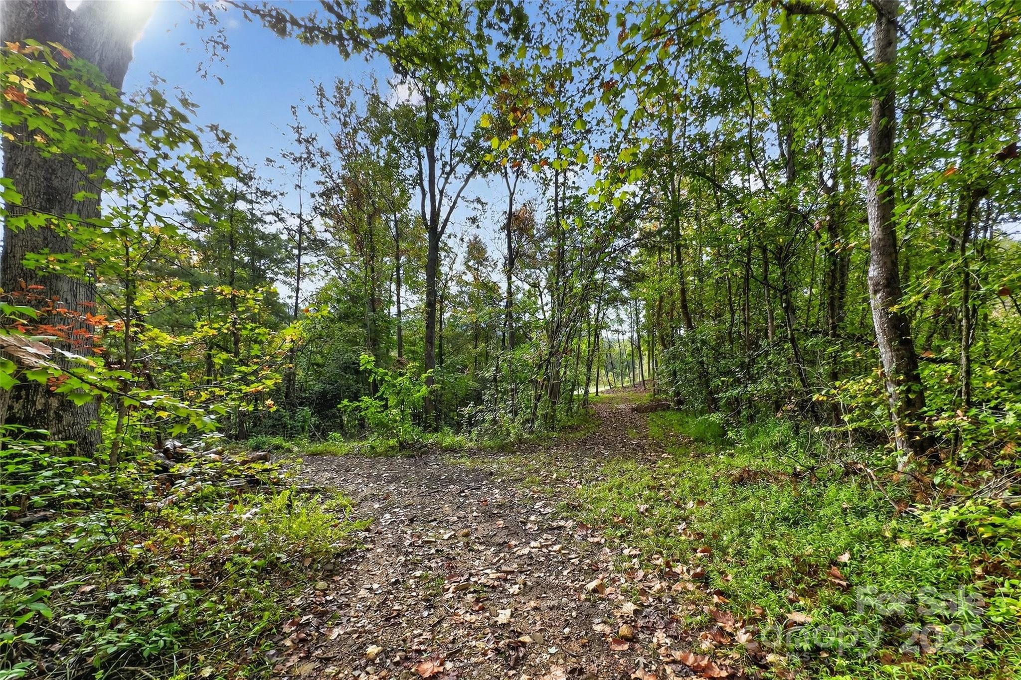 Linville Falls Mountain Club and Preserve - Land