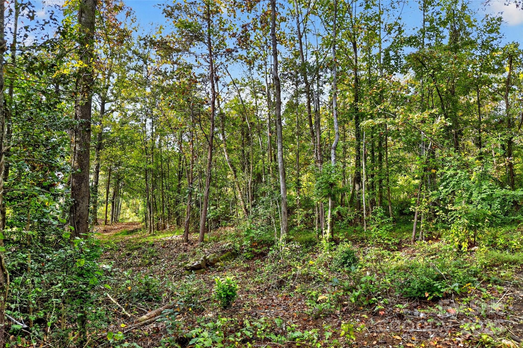 Linville Falls Mountain Club and Preserve - Land
