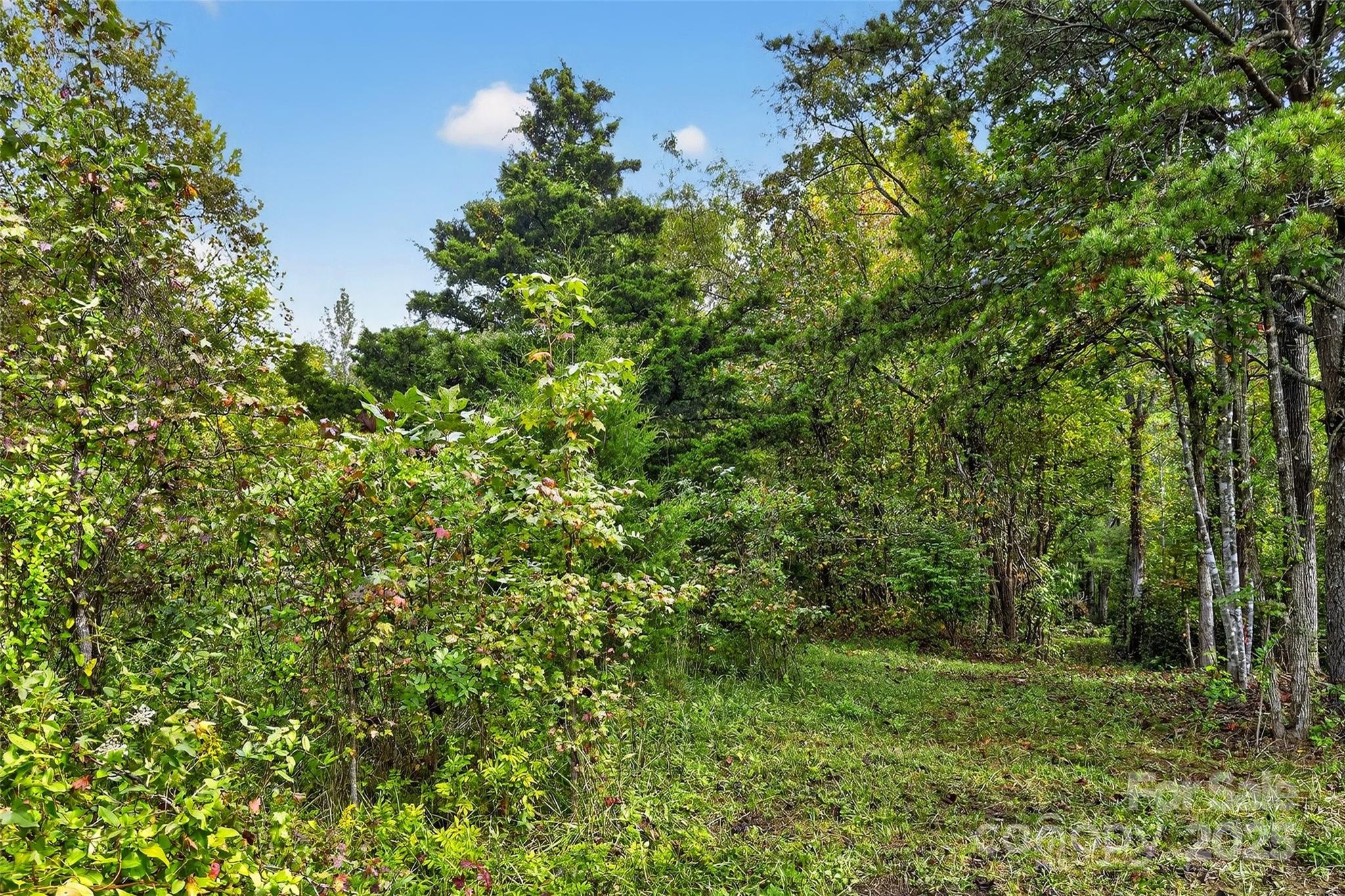 Linville Falls Mountain Club and Preserve - Land