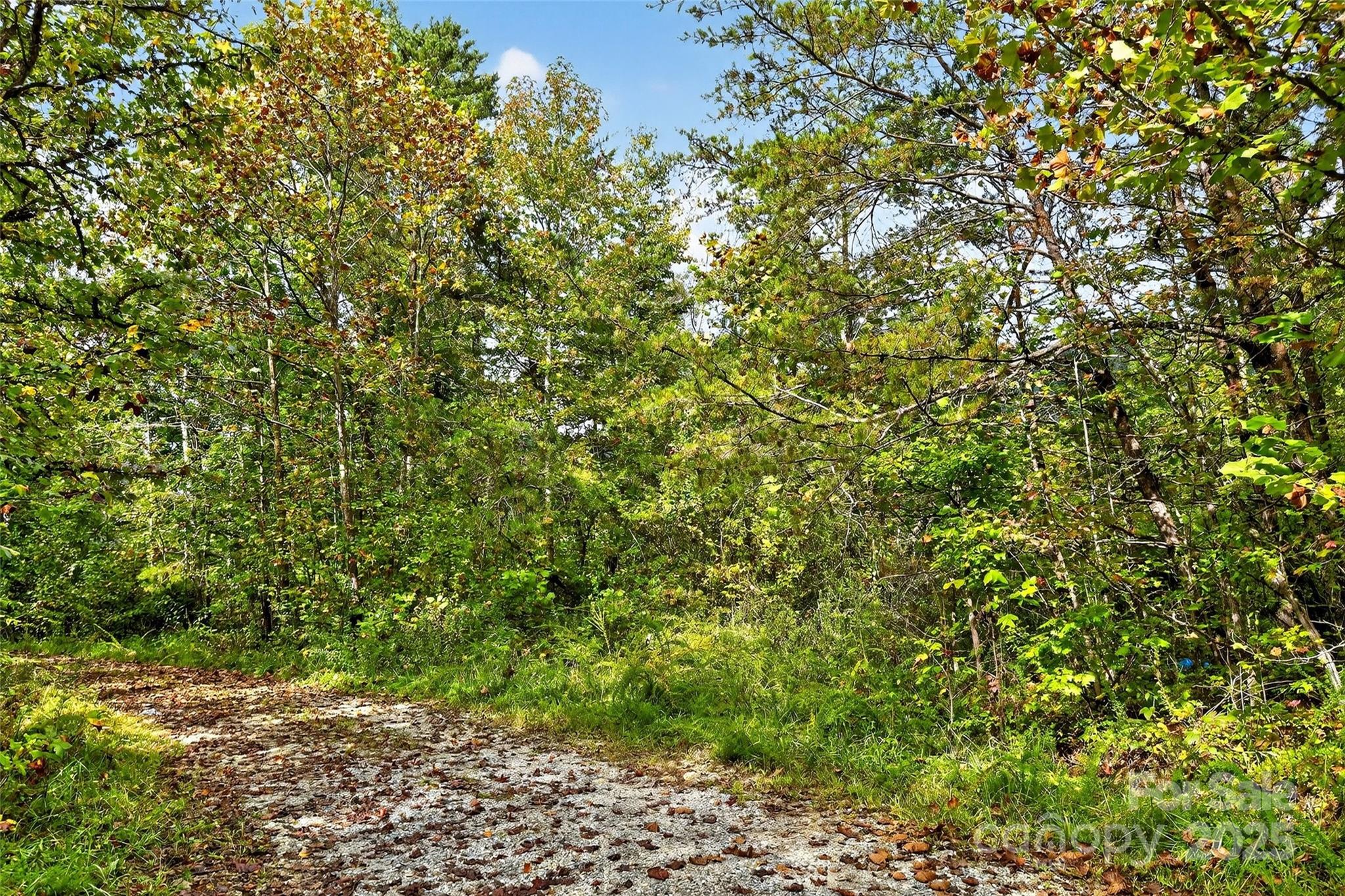 Linville Falls Mountain Club and Preserve - Land
