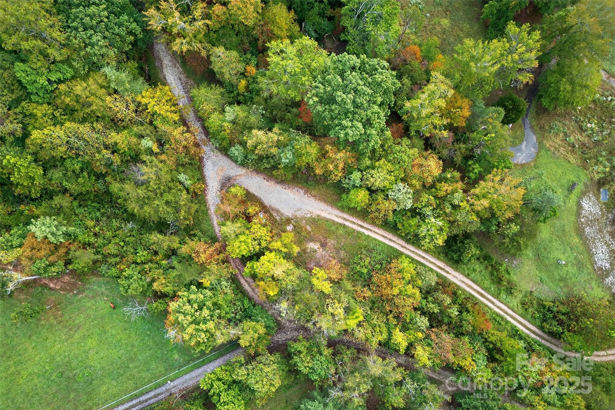 Linville Falls Mountain Club and Preserve - Land