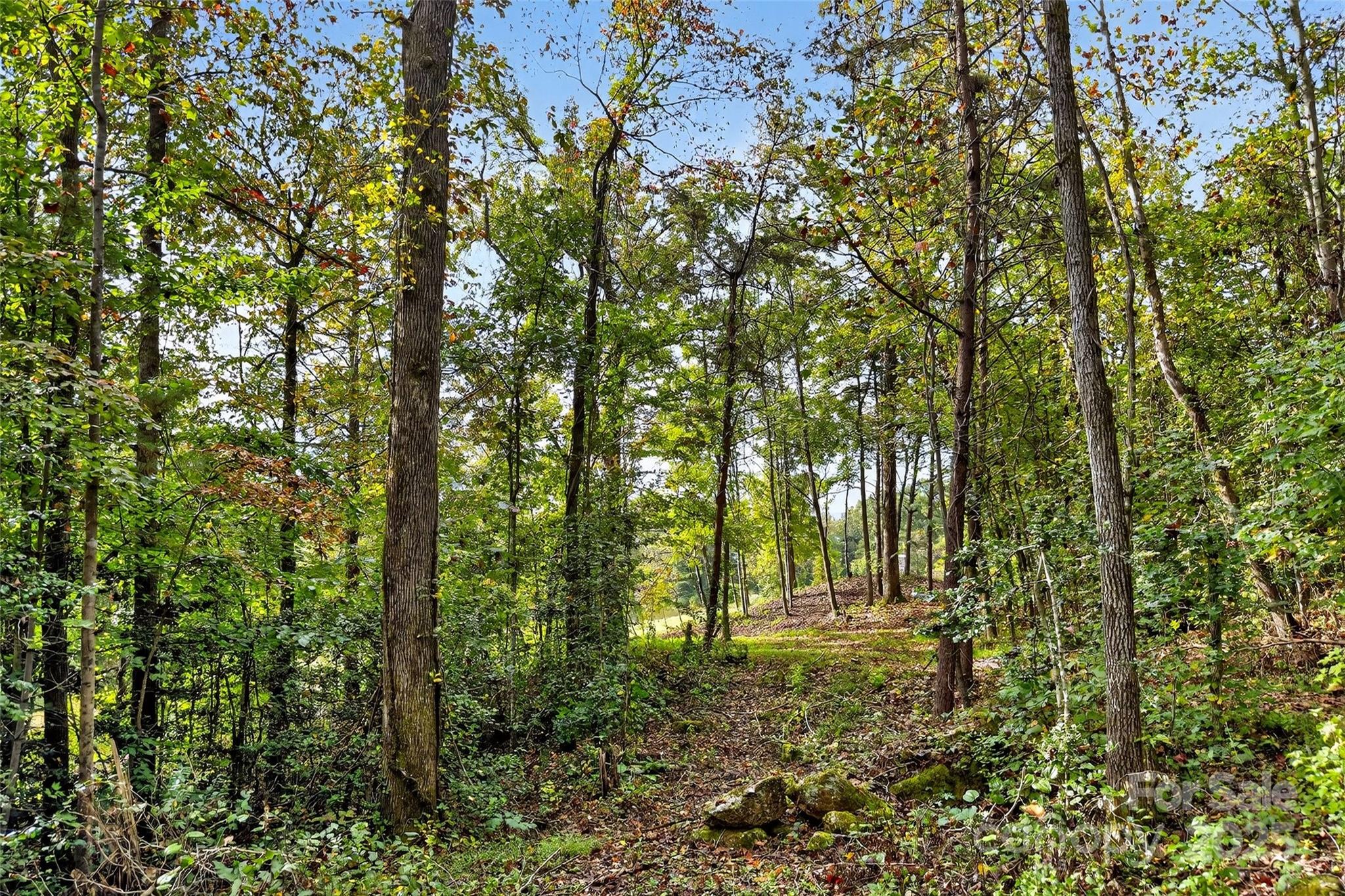 Linville Falls Mountain Club and Preserve - Land