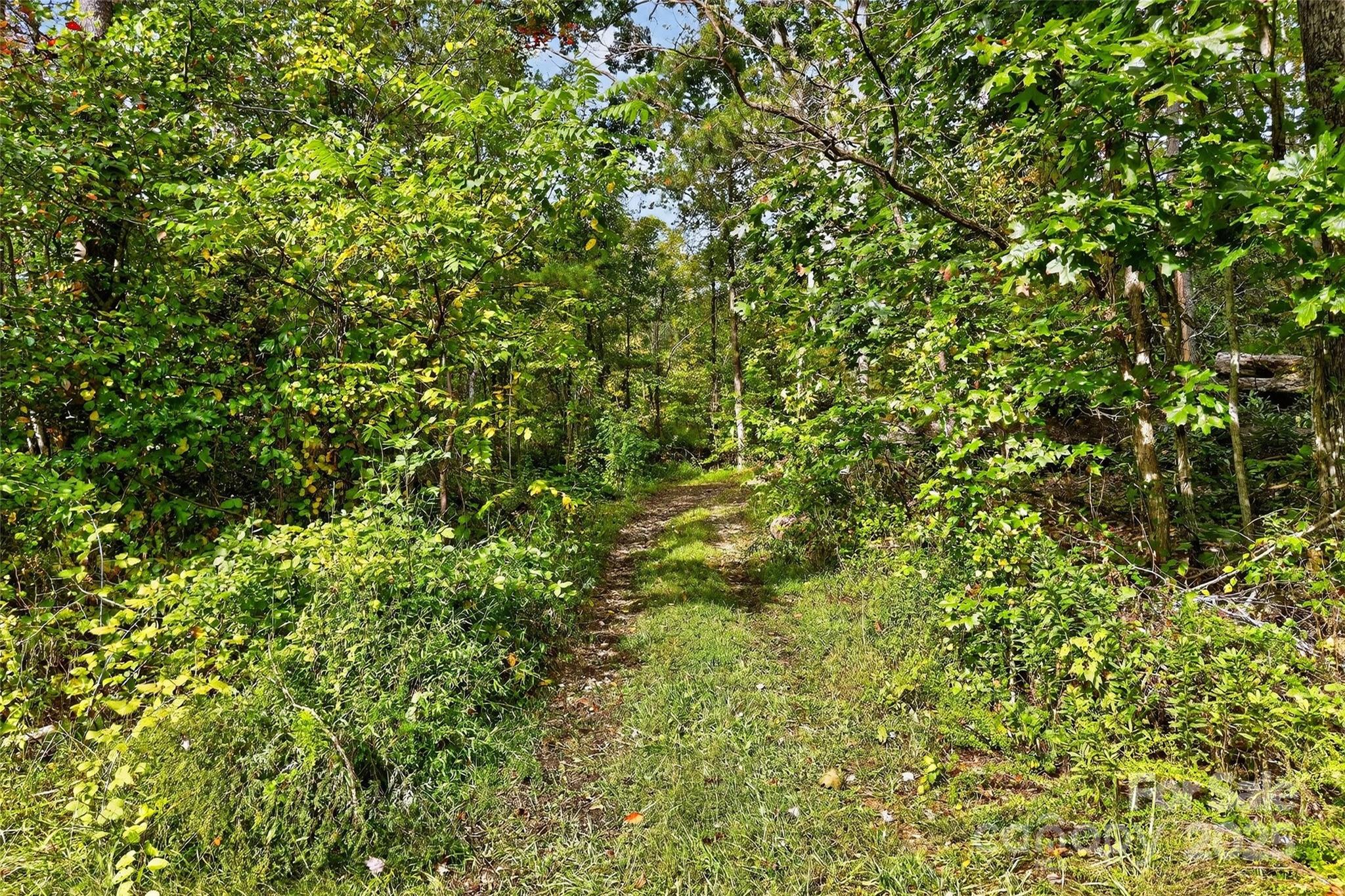 Linville Falls Mountain Club and Preserve - Land