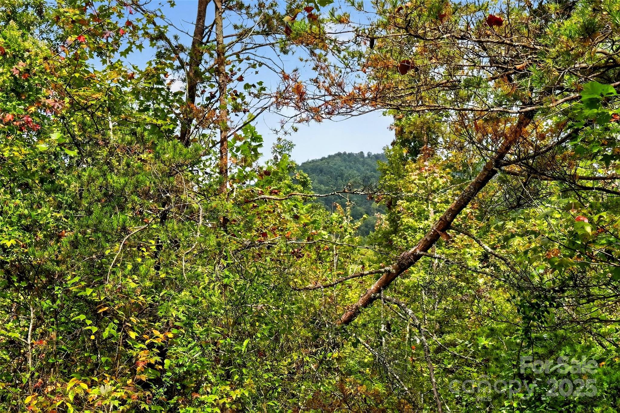 Linville Falls Mountain Club and Preserve - Land
