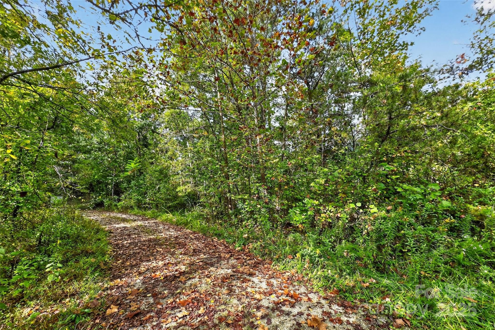 Linville Falls Mountain Club and Preserve - Land