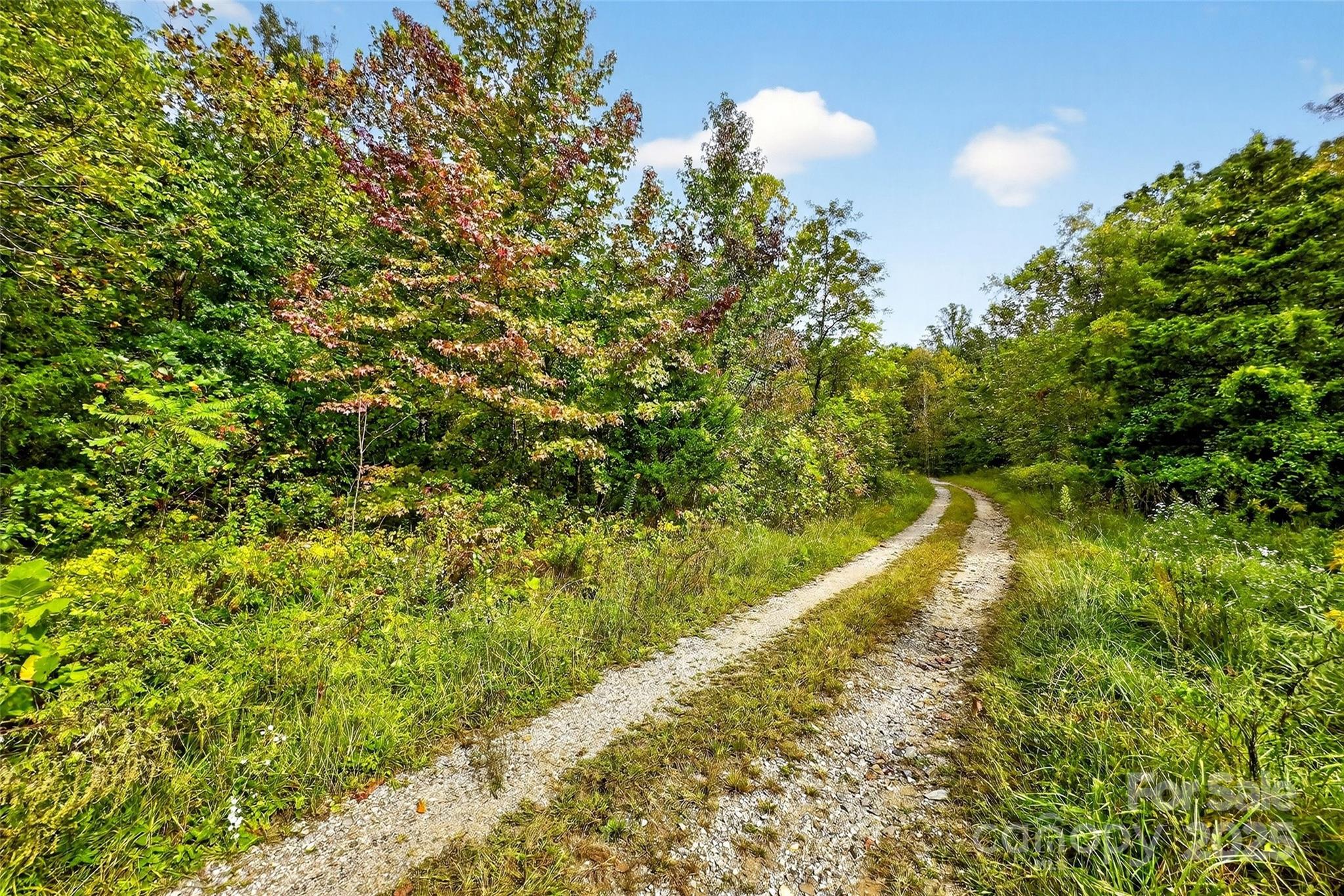 Linville Falls Mountain Club and Preserve - Land