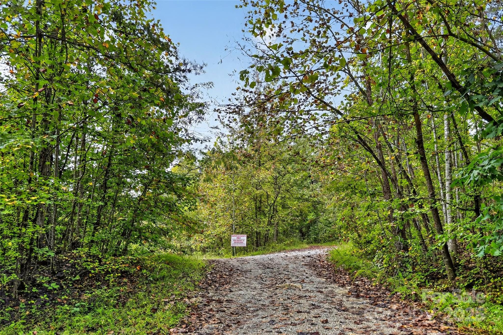 Linville Falls Mountain Club and Preserve - Land