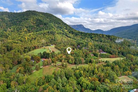 99999 Blue Ridge Drive S Marion NC 28752