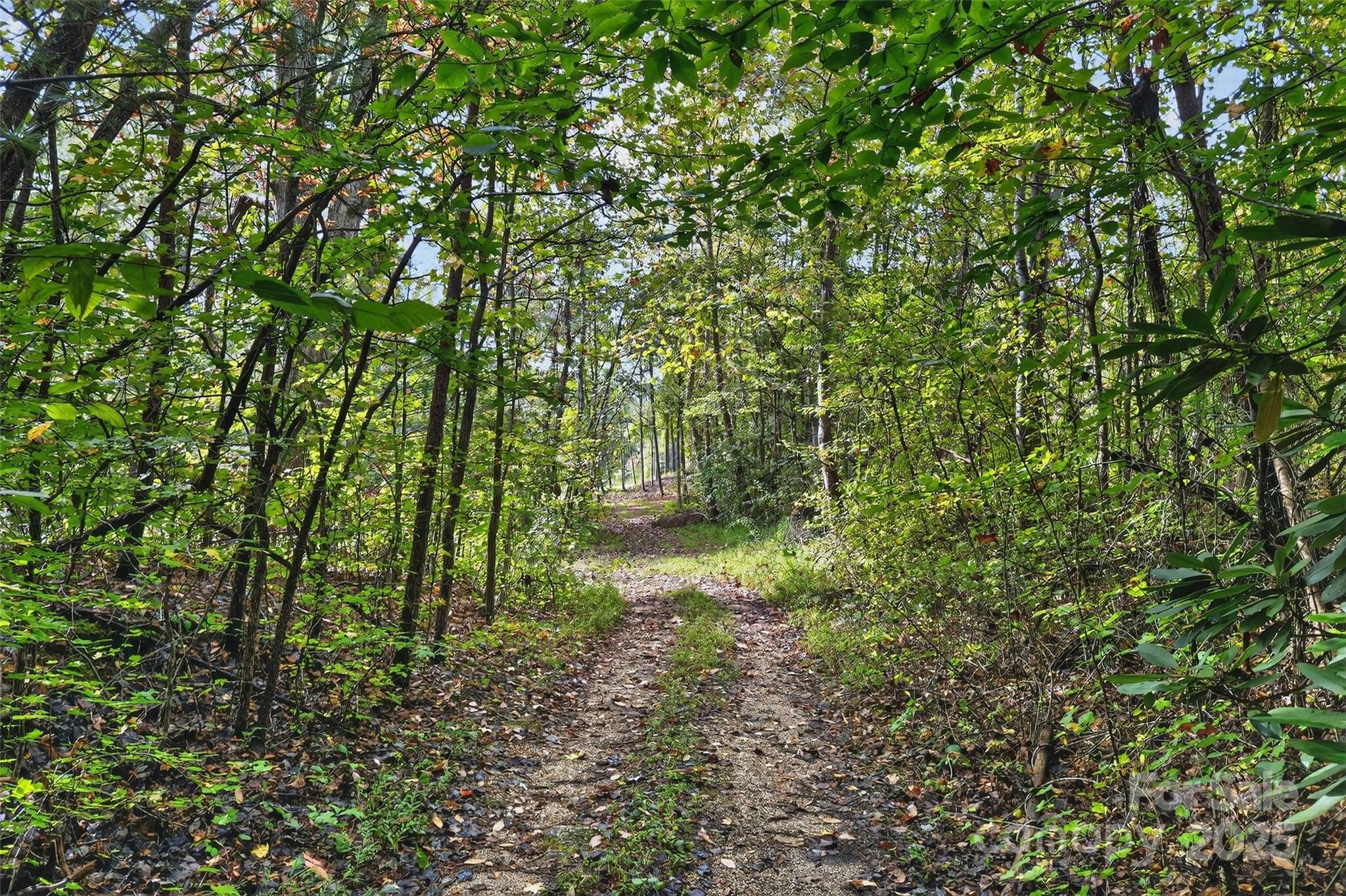 Linville Falls Mountain Club and Preserve - Land