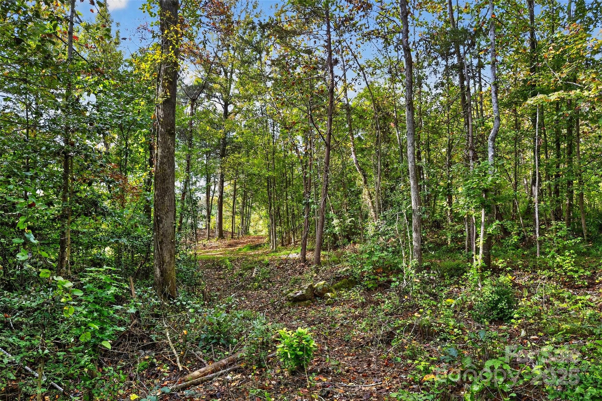 Linville Falls Mountain Club and Preserve - Land