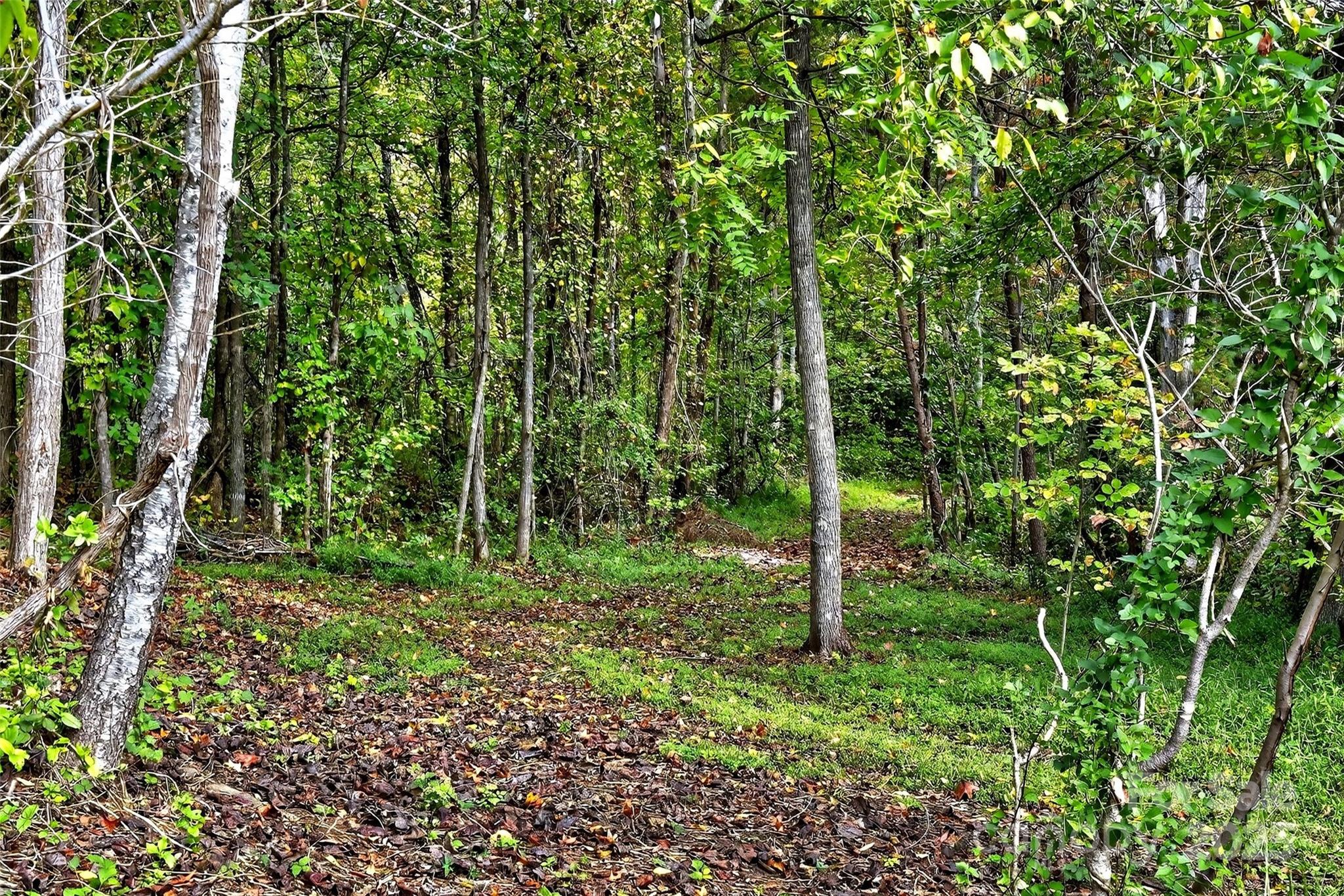Linville Falls Mountain Club and Preserve - Land