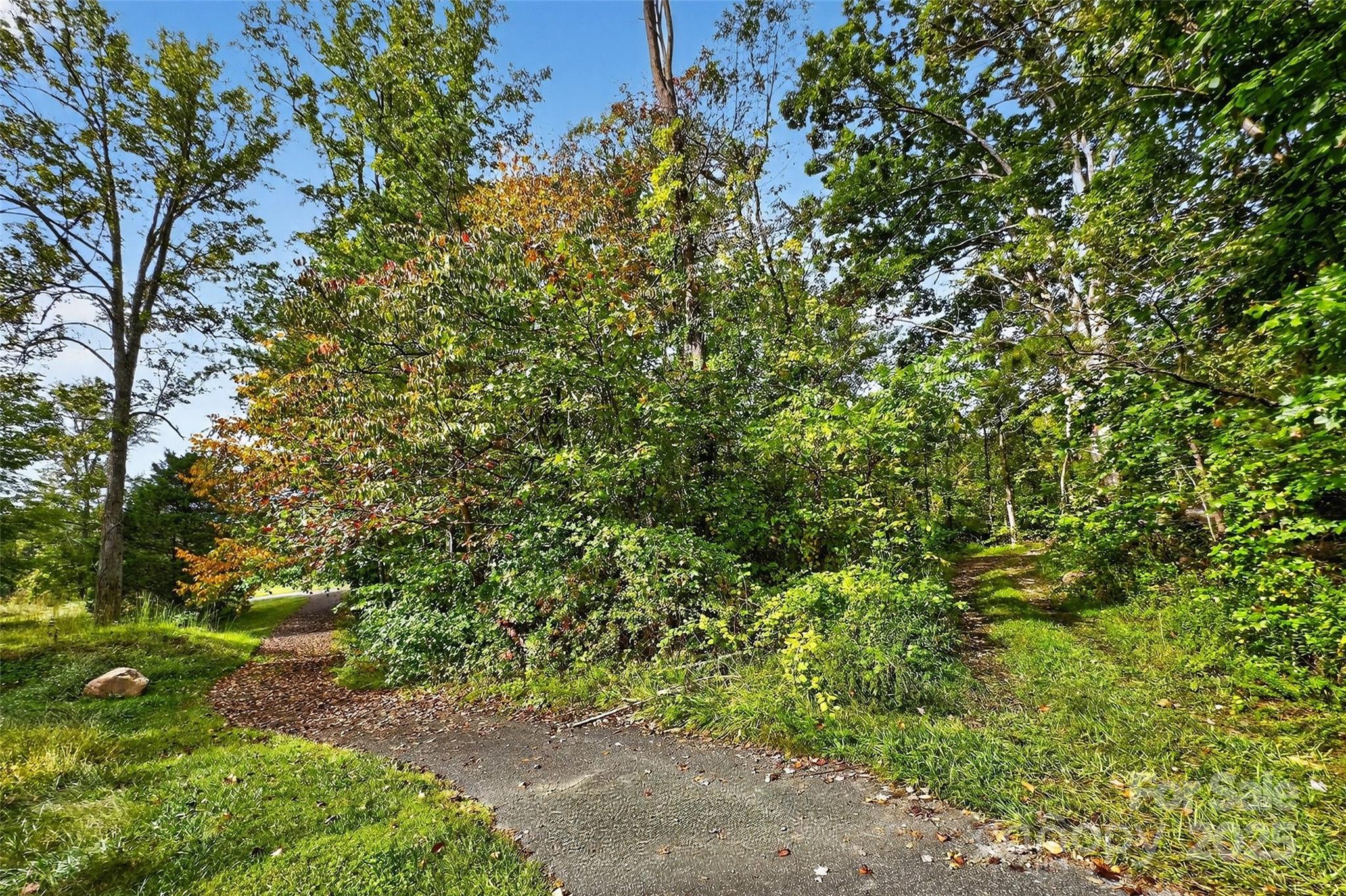 Linville Falls Mountain Club and Preserve - Land