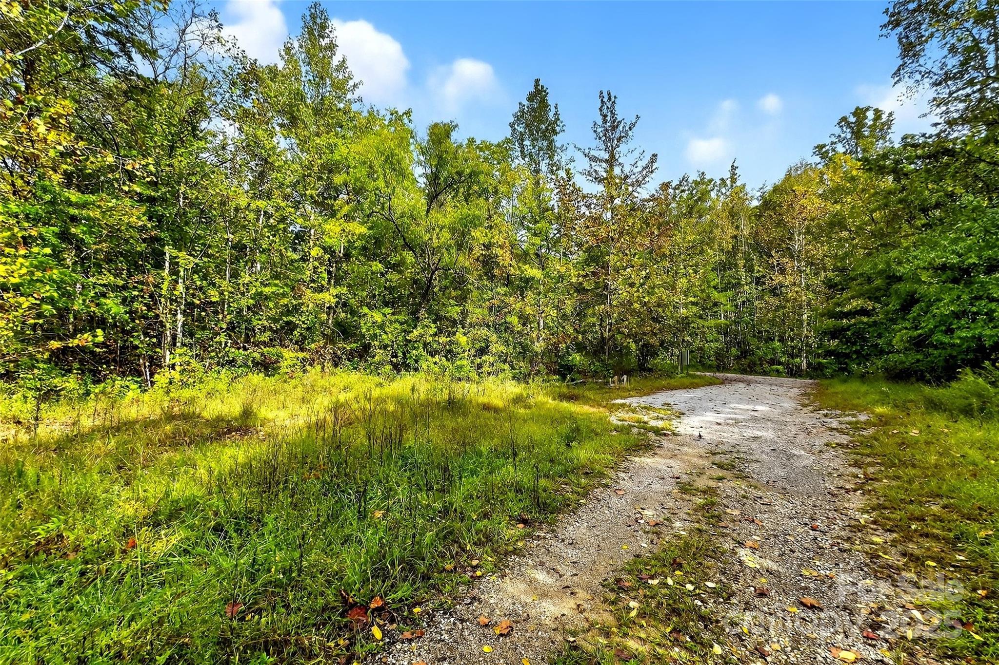 Linville Falls Mountain Club and Preserve - Land