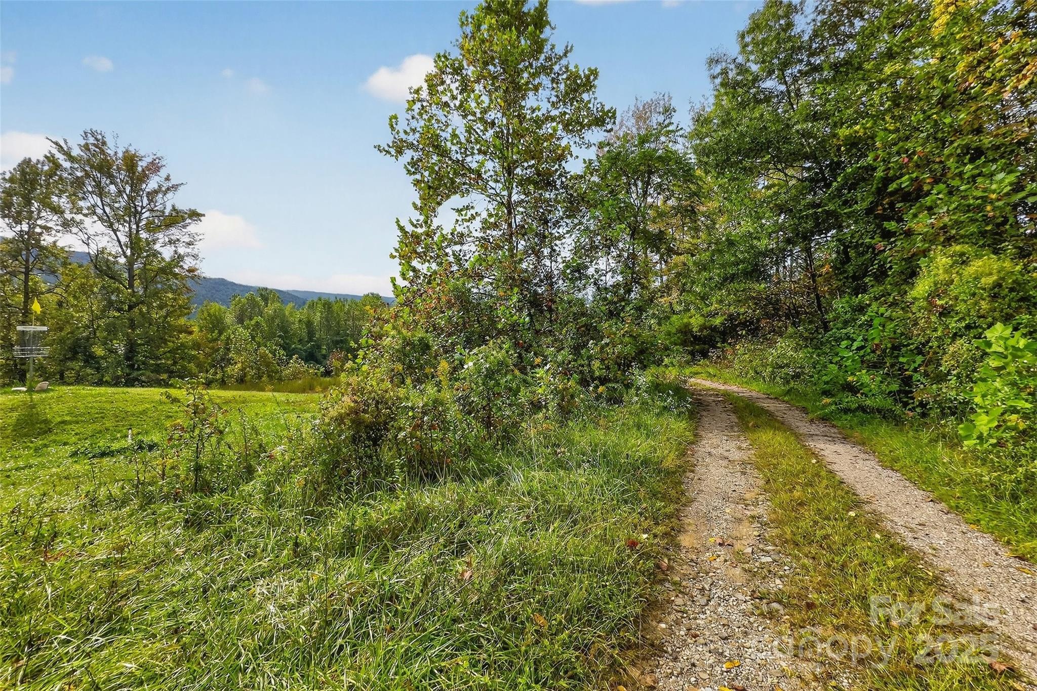 Linville Falls Mountain Club and Preserve - Land