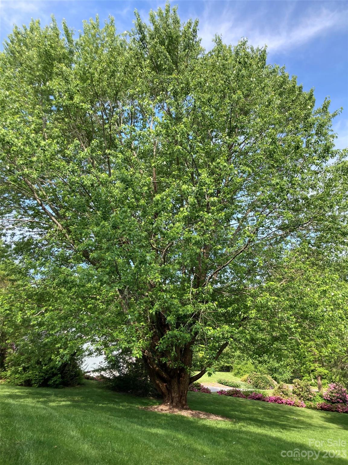 Ridgeview Estates - Residential