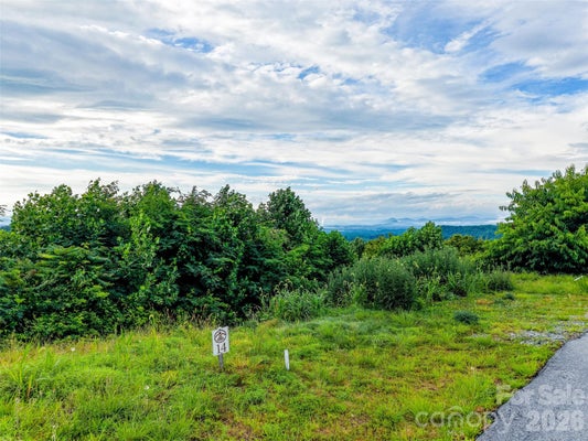 177 SKYDANCE TRL, HENDERSONVILLE, NC 28739 - Image 65076b75d0f4f7e560b6aee3e1f040d3/2114981343