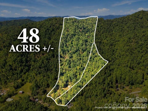 Photo of 360 Poverty Branch Road, Barnardsville, NC 28709 (MLS # 4428894)