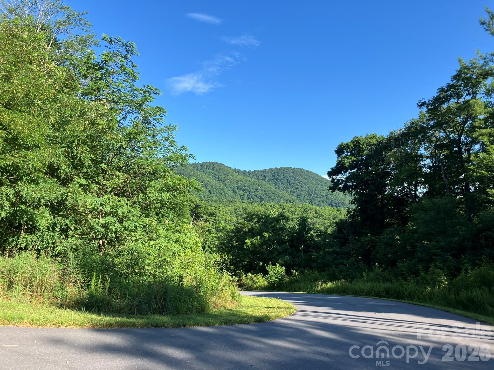 Grey Rock at Lake Lure - Land