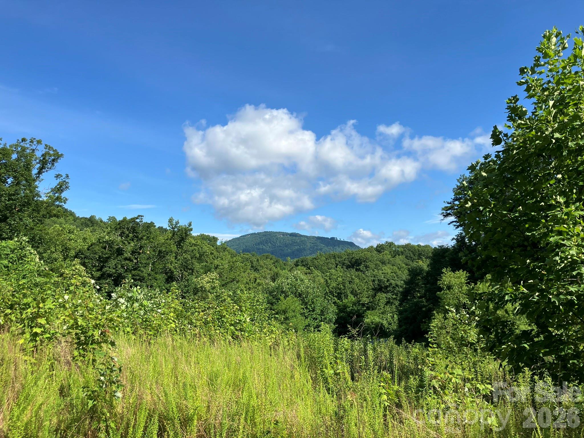 Grey Rock at Lake Lure - Land