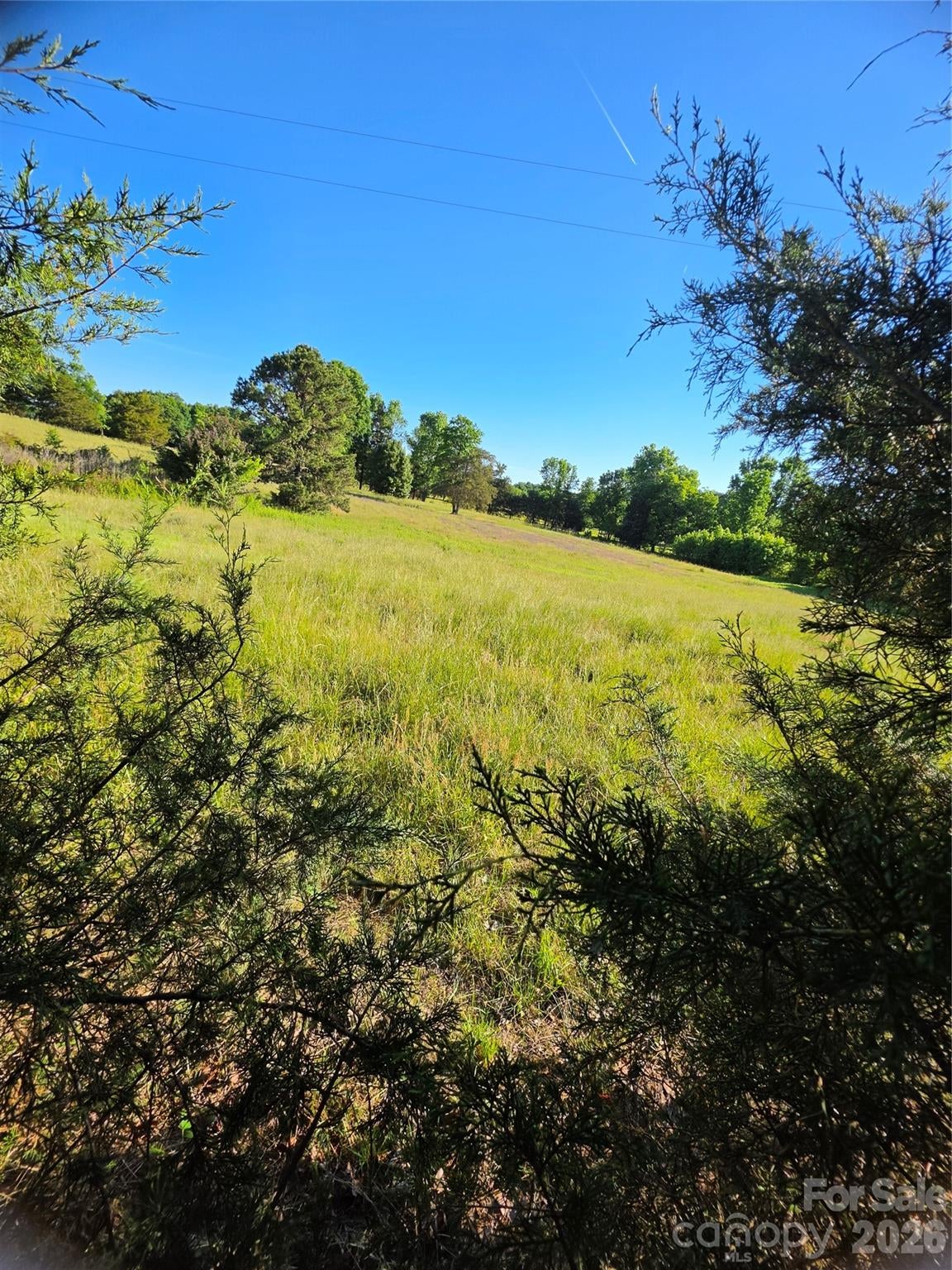 12505 Oscar Road