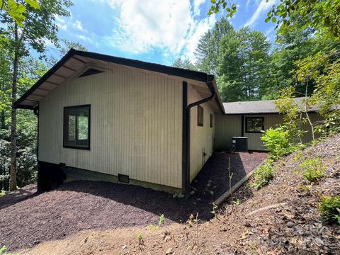 A home in Pisgah Forest