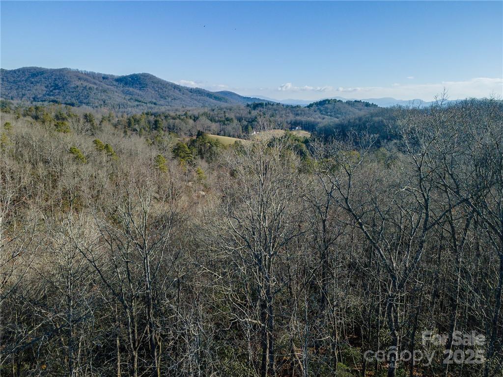 Homestead at Mills River - Land