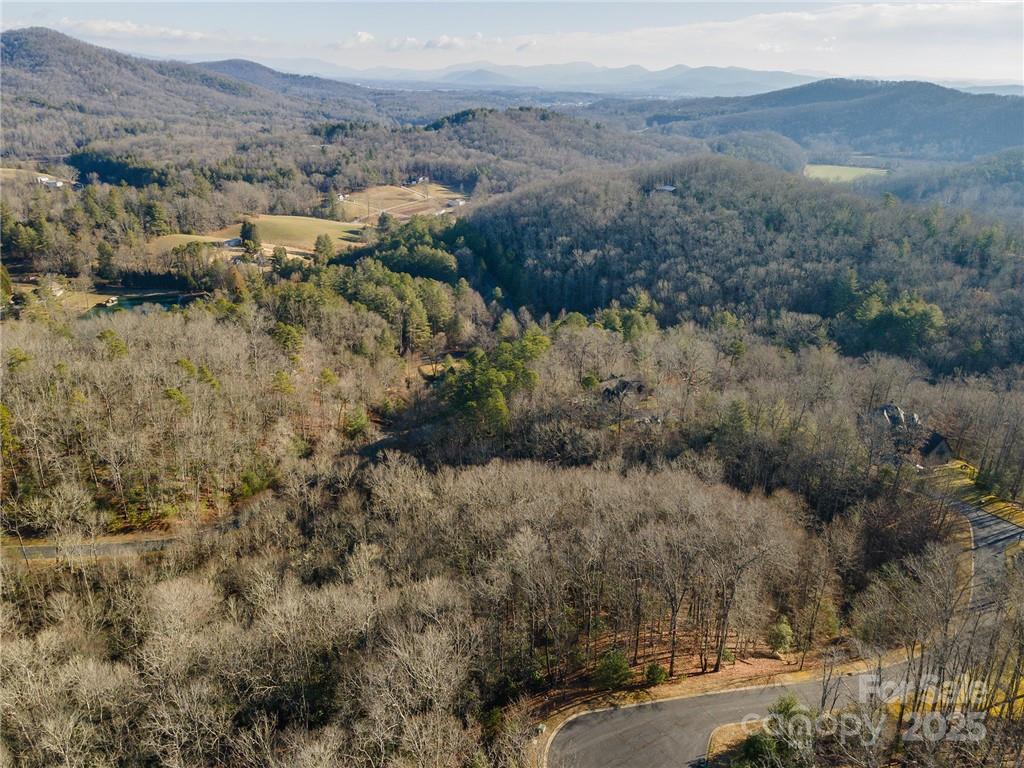Homestead at Mills River - Land