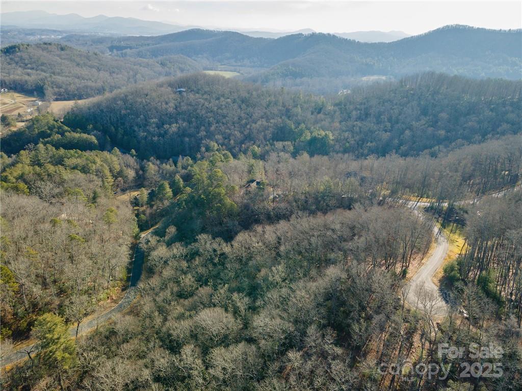 Homestead at Mills River - Land