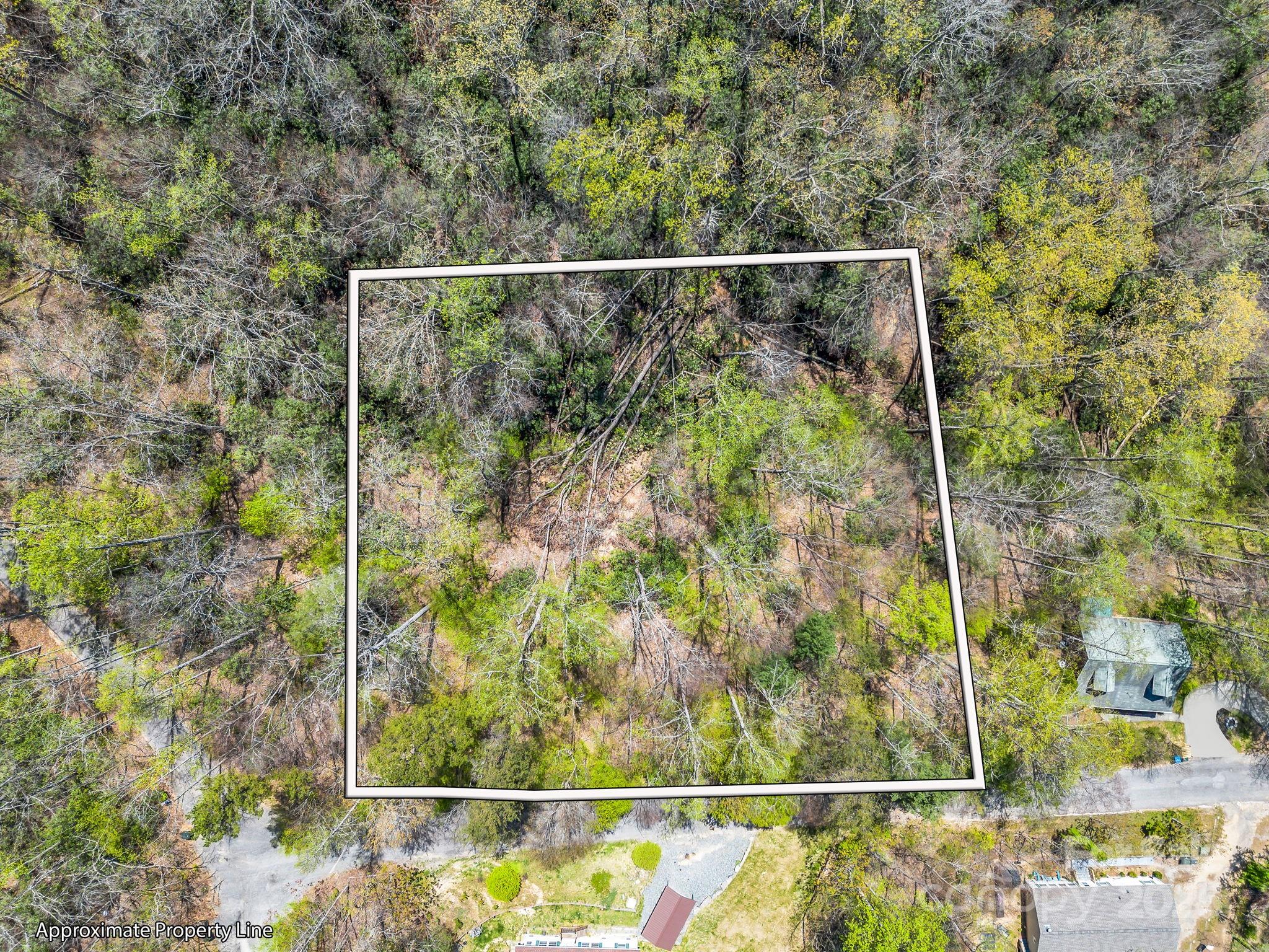 Fork Mountain Cliffs - Land