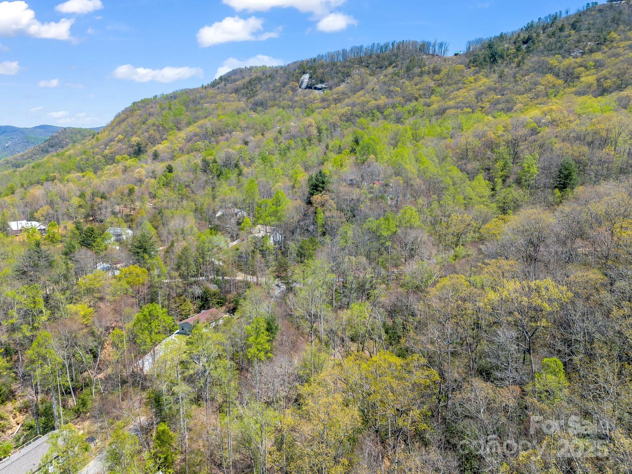 Fork Mountain Cliffs - Land