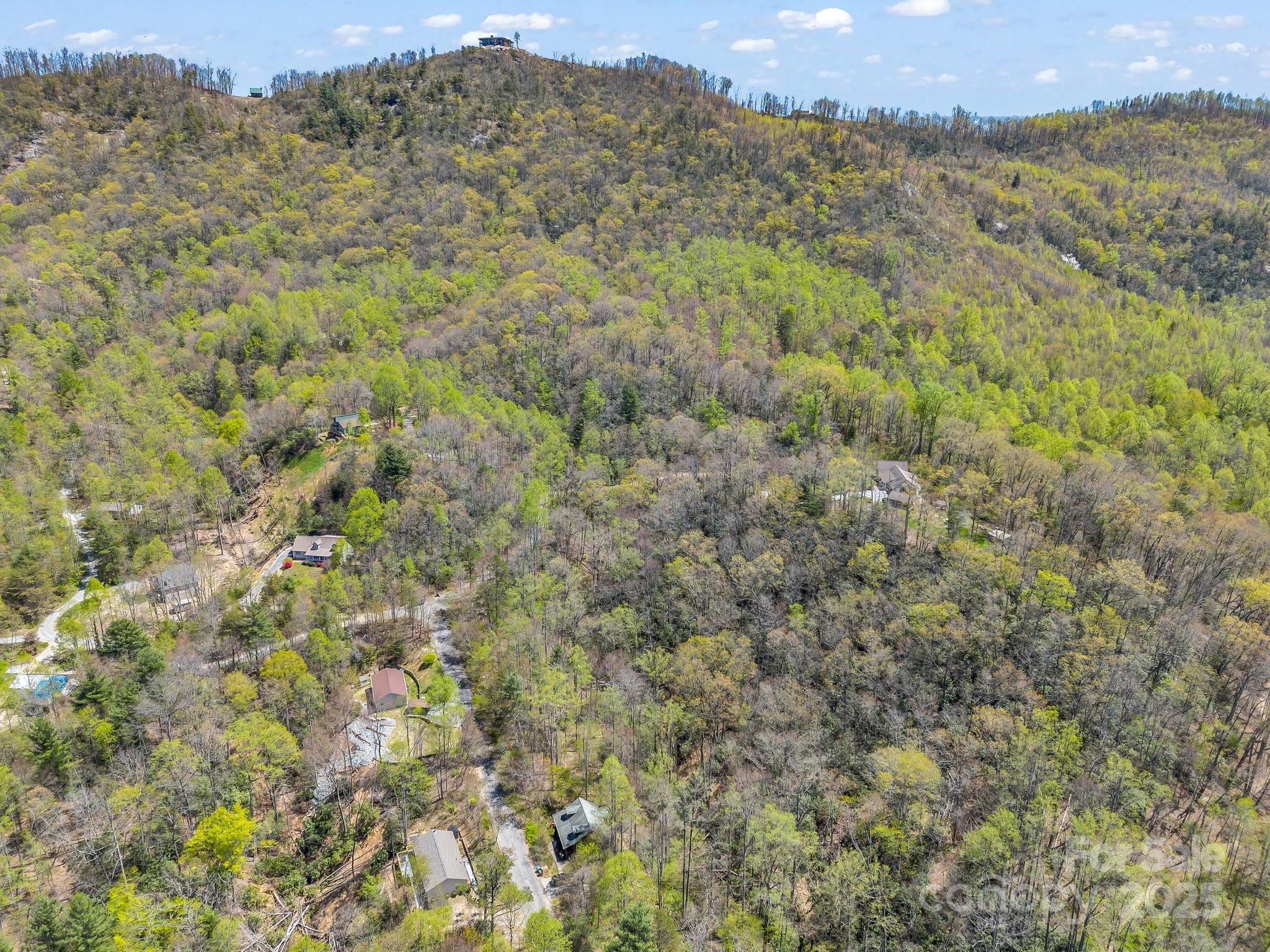 Fork Mountain Cliffs - Land