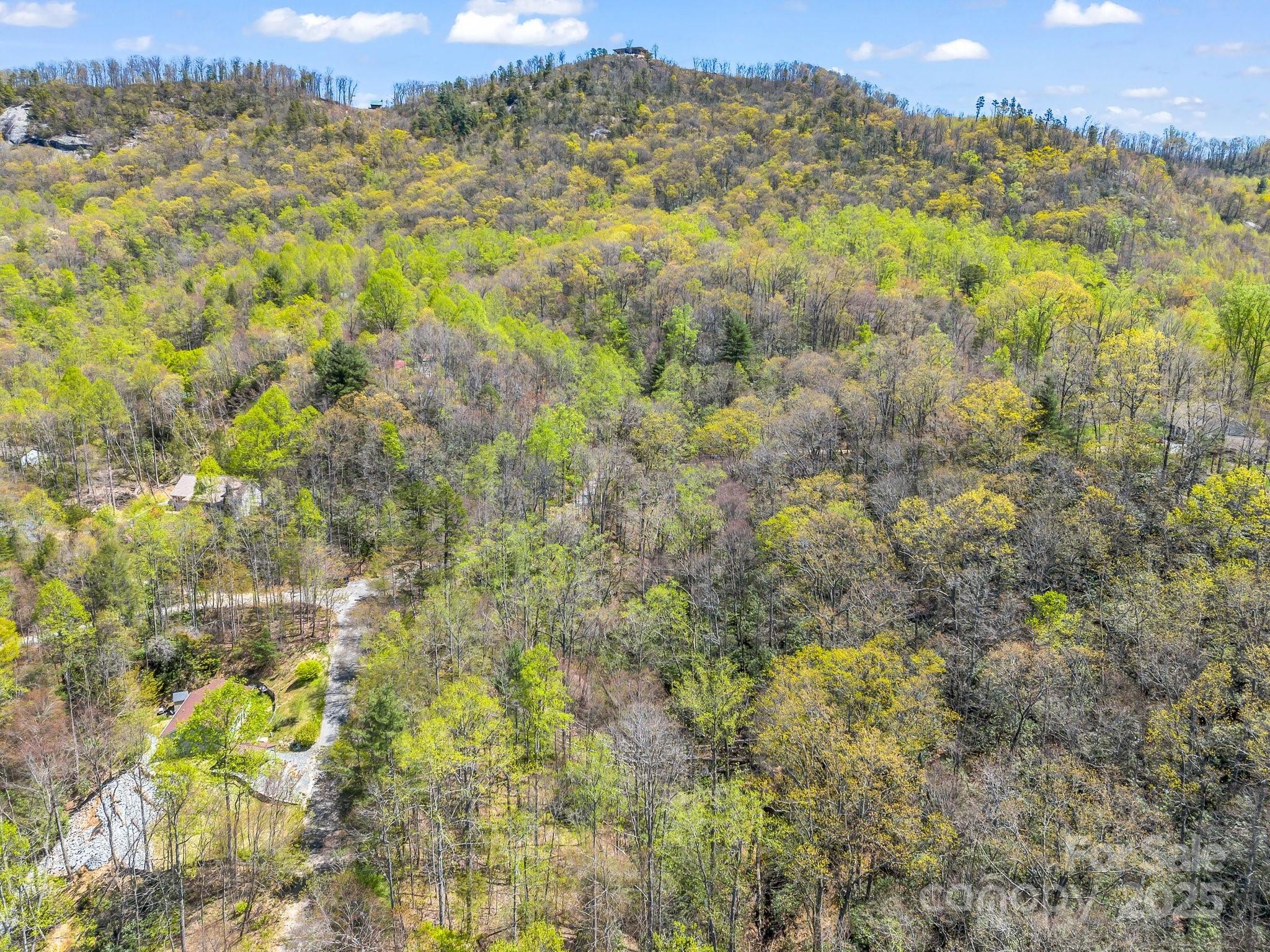 Fork Mountain Cliffs - Land