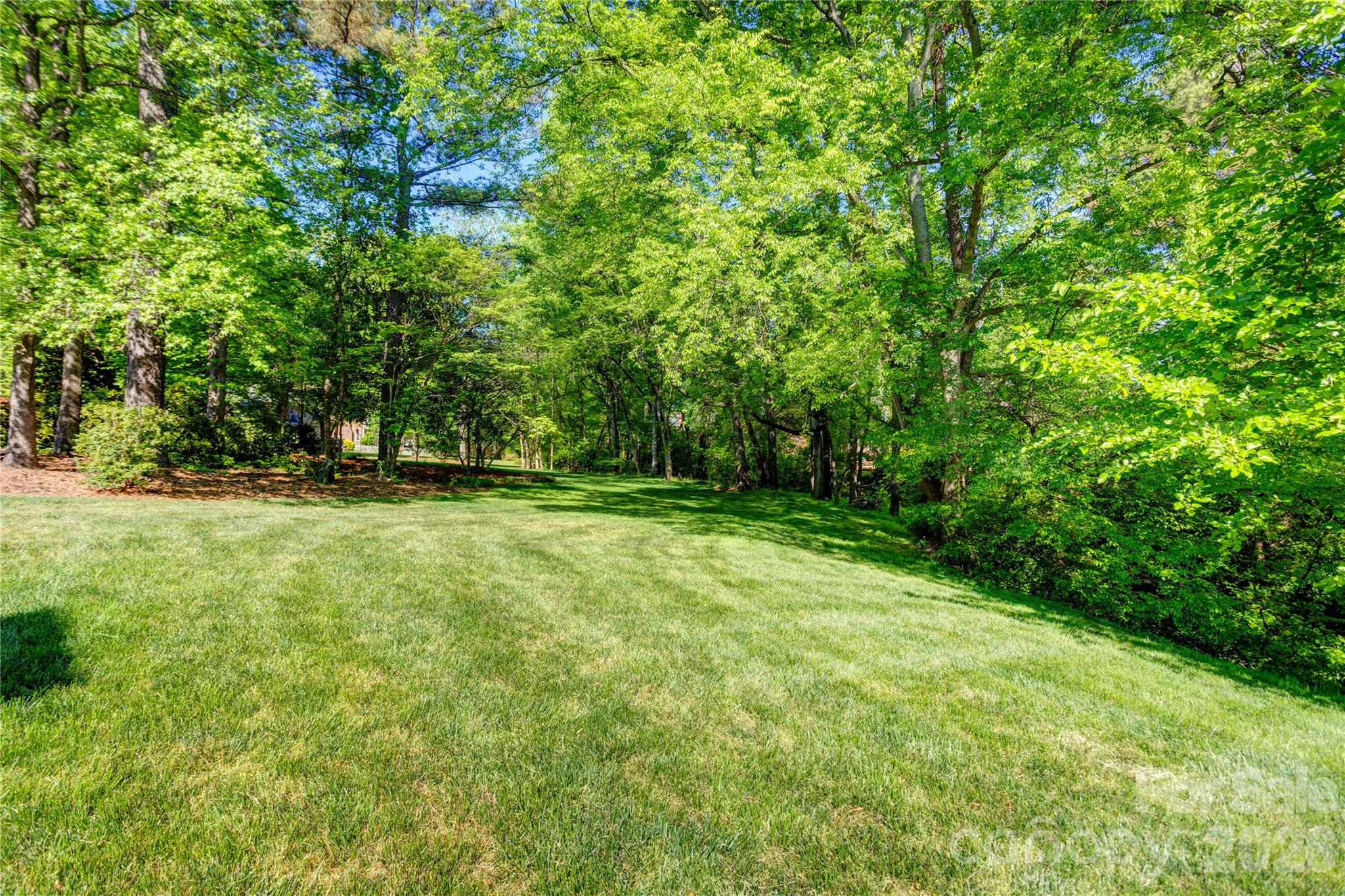 Carriage Downs - Residential