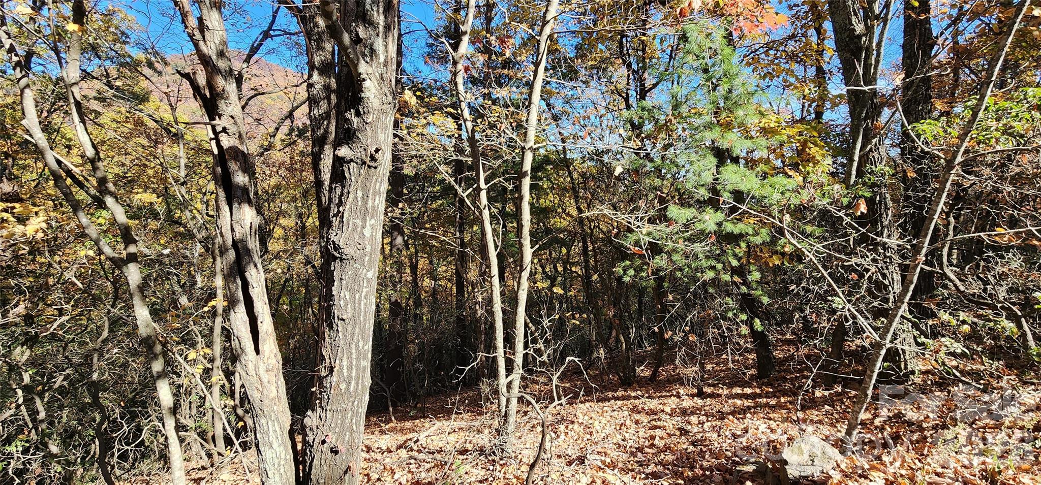 Lot 22 A Pinnacle Parkway 22 A