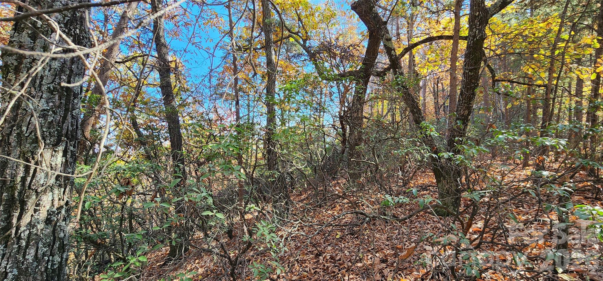 Lot 22 A Pinnacle Parkway Unit 22 A, Union Mills, NC, 28167