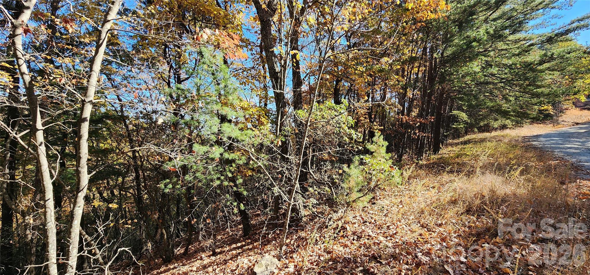 Lot 22 A Pinnacle Parkway 22 A