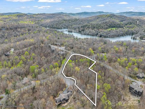 U18 L72 Uwaga Court Brevard NC 28712
