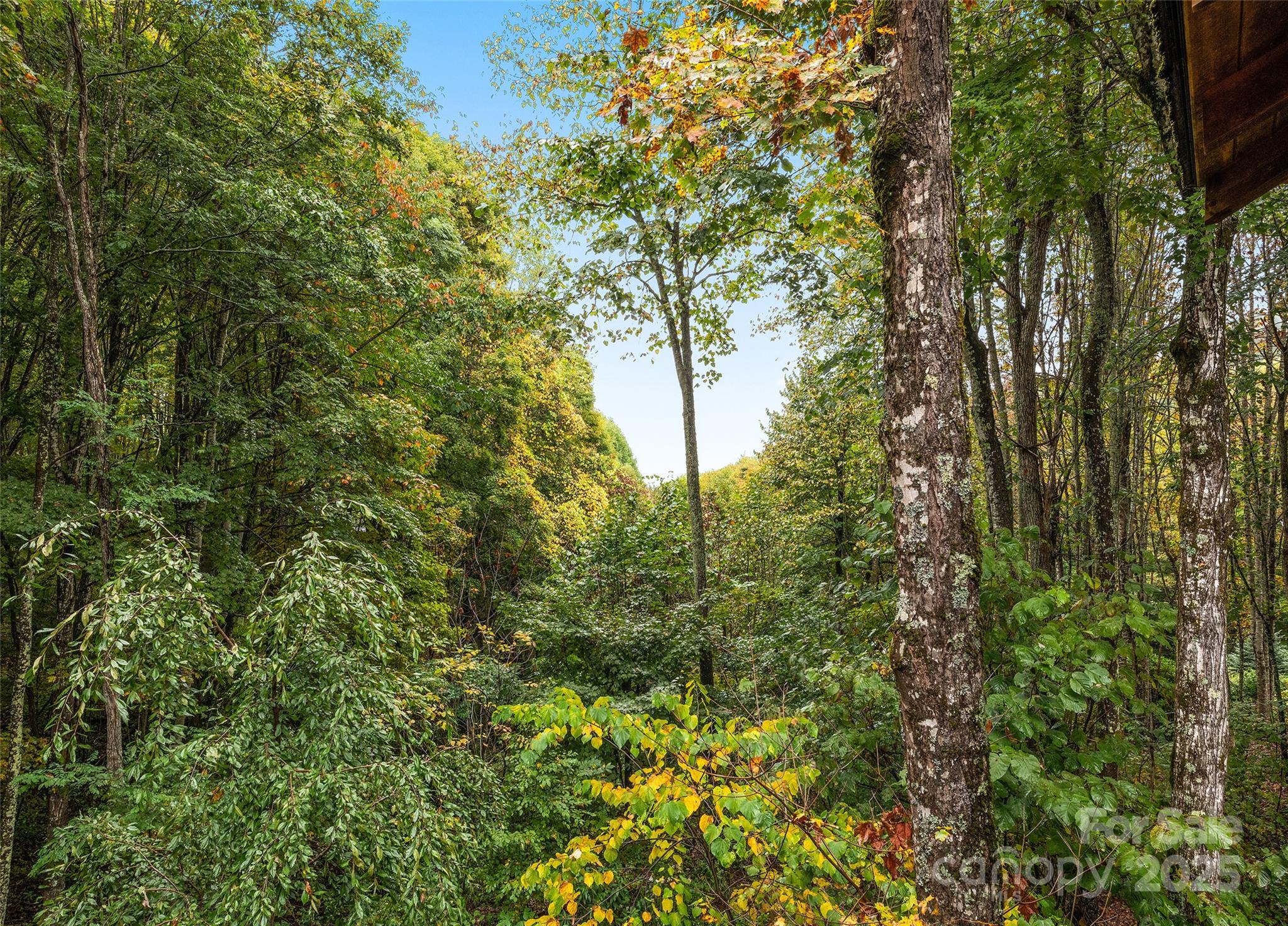 Smoky Mountain Retreat at Eagles Nest - Residential