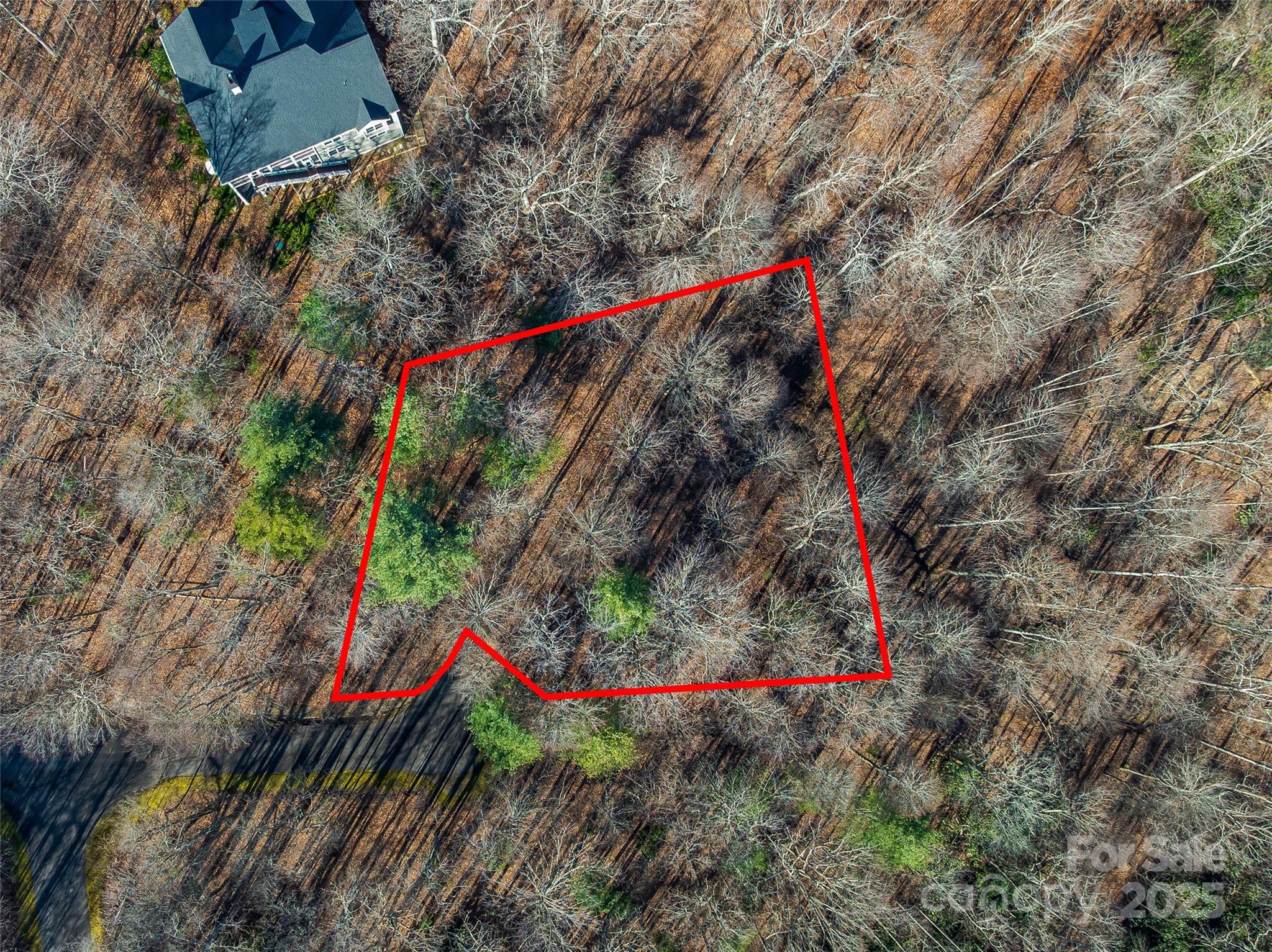 TBD Ladys Fern Trail 10