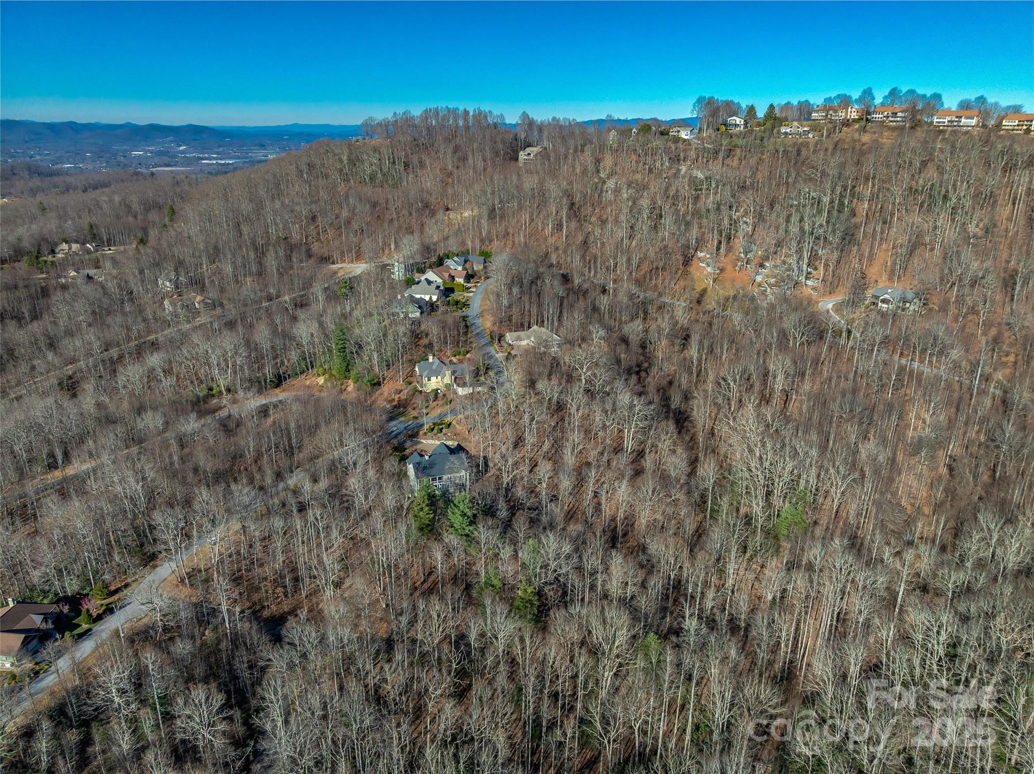 TBD Ladys Fern Trail 10