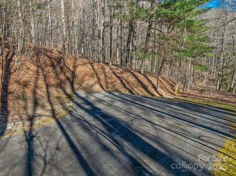 TBD Ladys Fern Trail 10 Laurel Park NC 28739