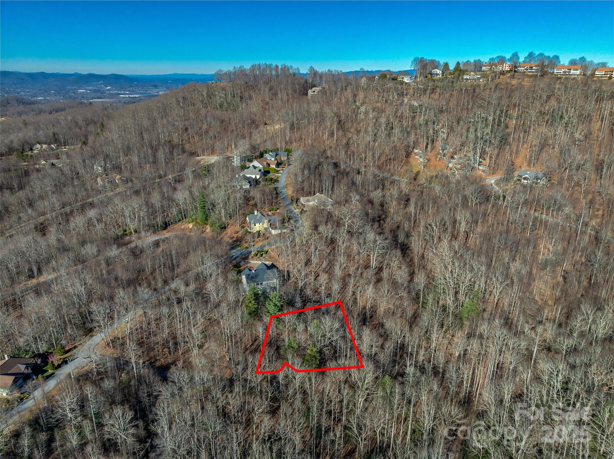 TBD Ladys Fern Trail 10